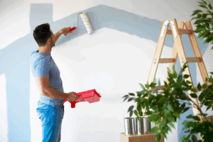 a person painting an accent wall